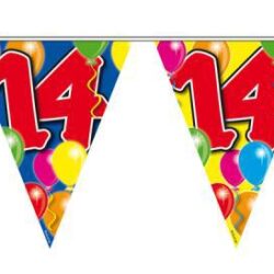 Vlaggenlijn 14 jaar Ballonnen (10 meter) Vlaggenlijn 14 jaar Ballonnen (10 meter)