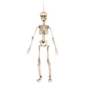Beweegbaar Skelet Hangdecoratie (50 cm)