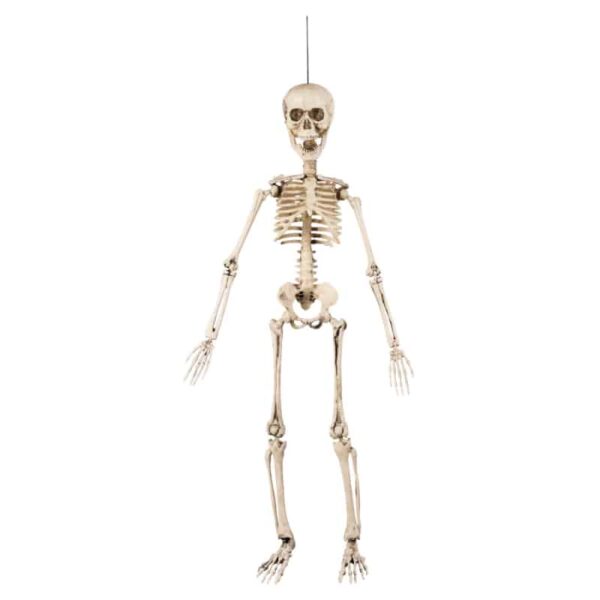 Beweegbaar Skelet Hangdecoratie (50 cm)