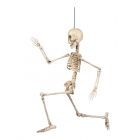 Beweegbaar Skelet Hangdecoratie (50 cm)
