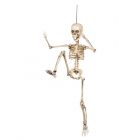 Beweegbaar Skelet Hangdecoratie (50 cm)