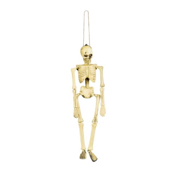 Skeletje Hangdecoratie (40 cm)