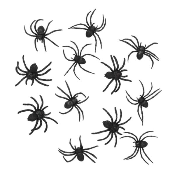 Set 12 Spinnen Zwart
