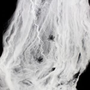 Spinnenweb (50 gram).