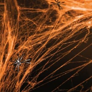 Spinnenweb 60 Gram Oranje