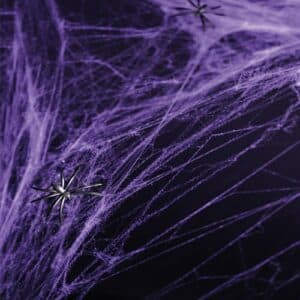 Spinnenweb 60 Gram Paars