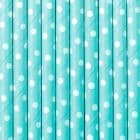 Rietjes Polka Dots Mint/Wit (10 stuks)