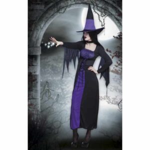 Volwassenenkostuum Purple hag