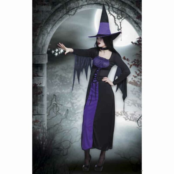 Volwassenenkostuum Purple hag