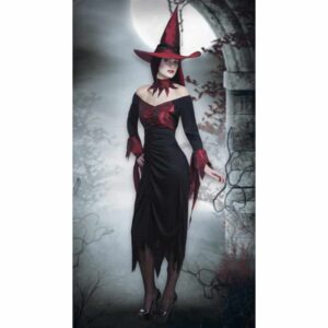 Volwassenenkostuum Wicked witch (M)