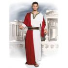 Kostuum Volwassene Julius (54/56)