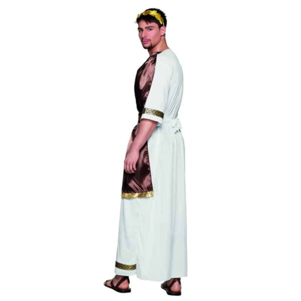 Volwassenenkostuum Zeus (M/L)