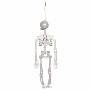 Decoratie Skelet parelmoer (32 cm)