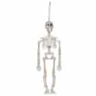 Decoratie Skelet parelmoer (32 cm)