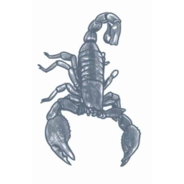 Tattoo Scorpion - Stempel