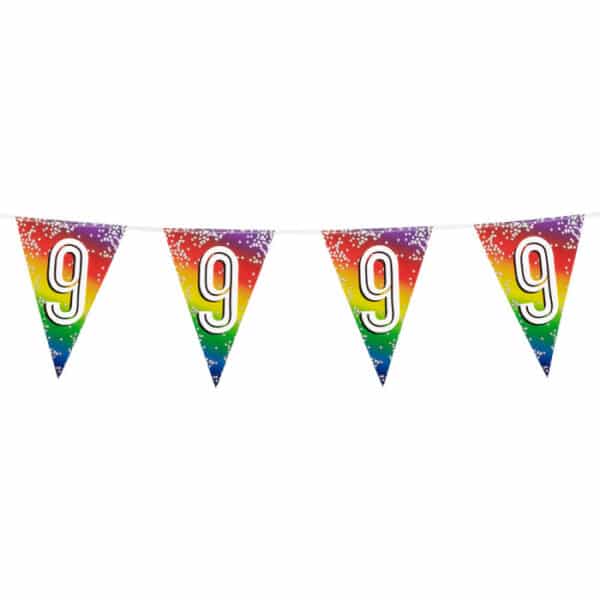Folievlaggenlijn Regenboog - 9 (6 mtr)