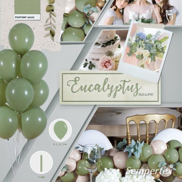 Sempertex ballonnen Eucalyptus (50 stuks)
