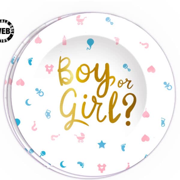Borden Boy or Girl? - 6 stuks