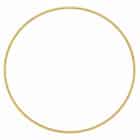 Ballonring goud 60 cm