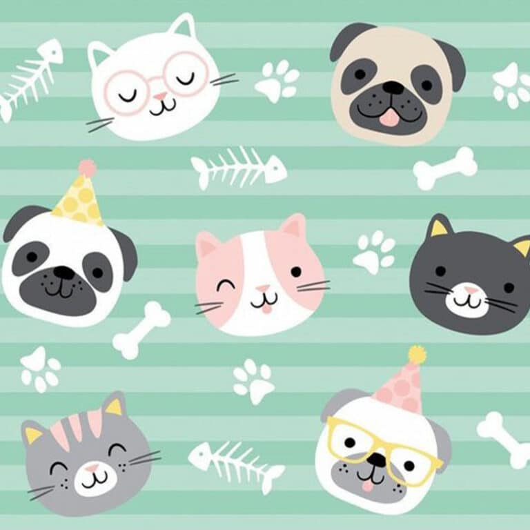 Huisdieren - Hello Pets