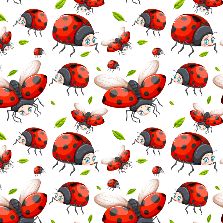 Lady Bug