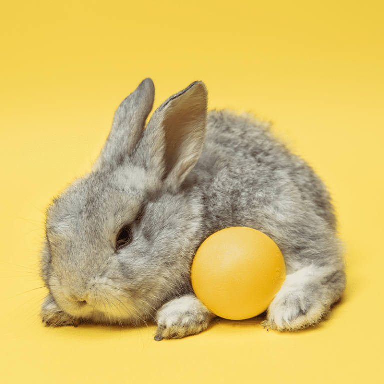 Folieballonnen Pasen