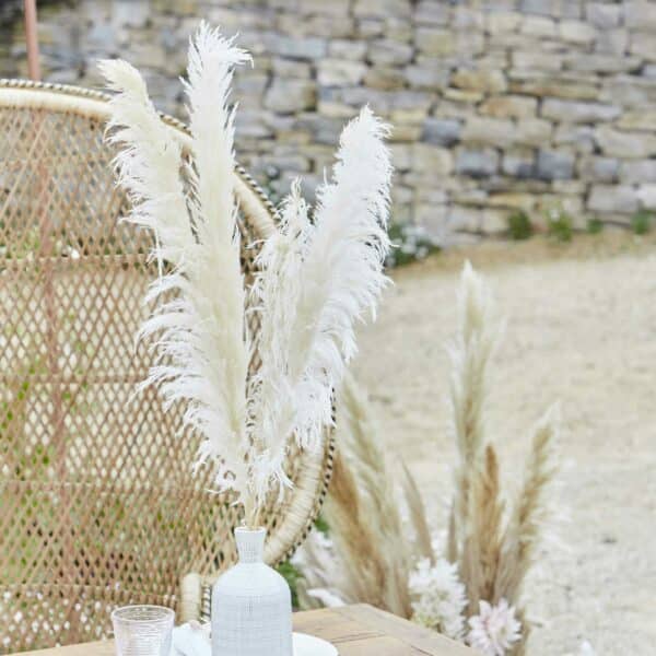 A Touch of Pampus - Gebleekt pampus decoratie gras (5 pluimen)