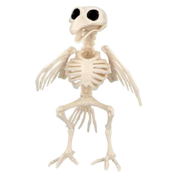 Vogelskelet (20 cm)