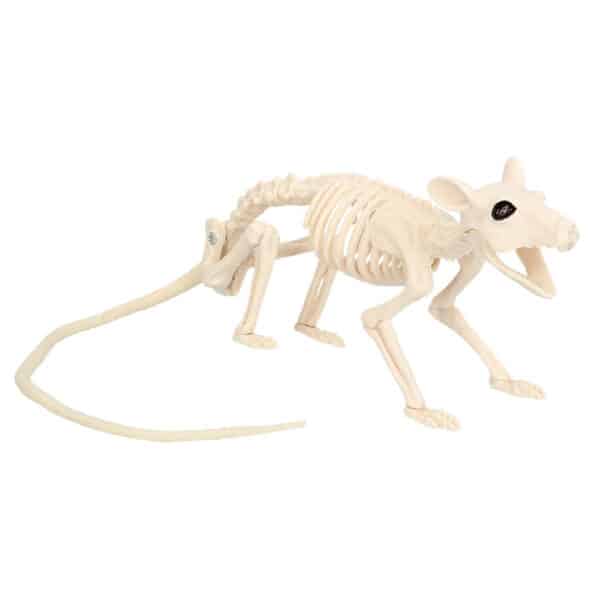 Ratskelet (46 cm)