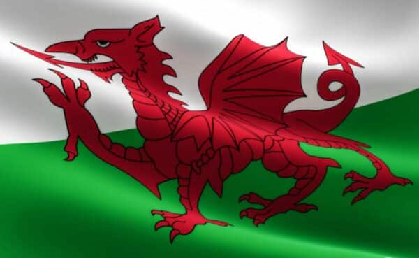 Vlag Wales (90 x 150 cm)