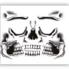 Halloween Skeleton Face Tattoo - 30 x 14 cm