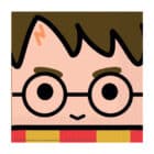 Harry Potter servetten (16 stuks)