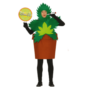 Plant in pot  - maat L (52-54)