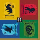 Harry Potter House servetten (16 stuks)