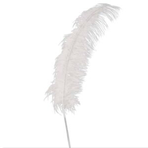 Witte struisvogel veren - 50 cm