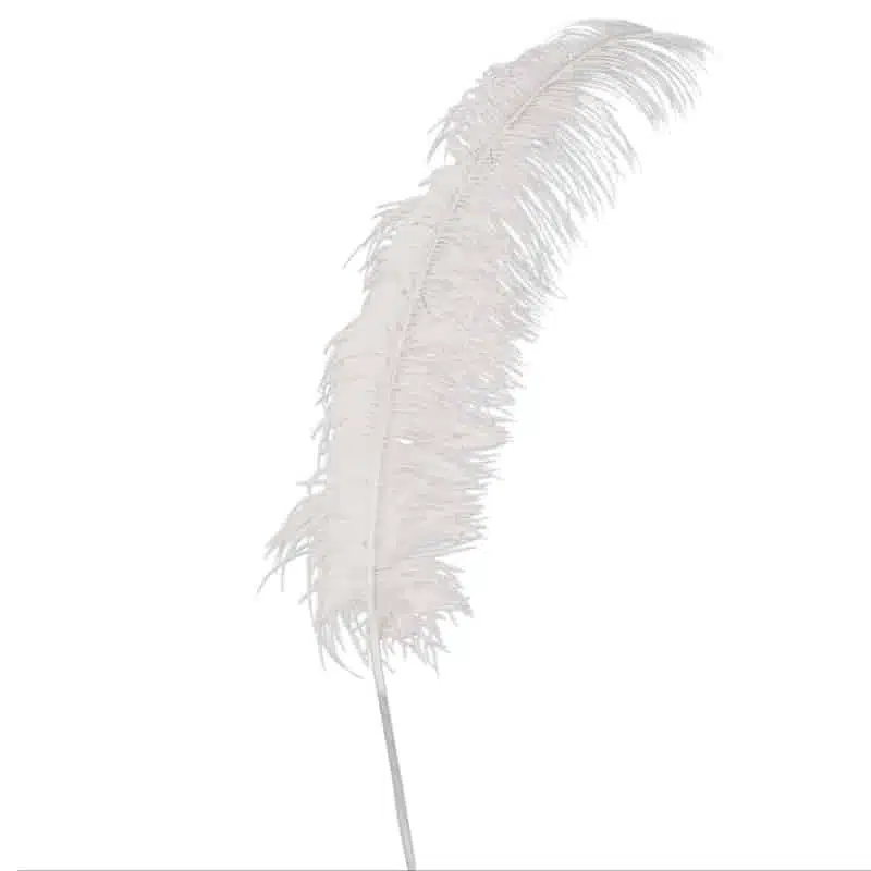 Witte struisvogel veren - 50 cm Witte struisvogel veren - 50 cm