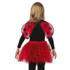 Set lieveheersbeestje