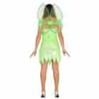 Volwassenenkostuum Magic fairy back