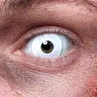 Weeklenzen Infected