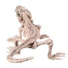 Decoratie Skelet Krokodil (50 x 16 cm)