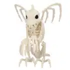 Decoratie Skelet Gargoyle Decoratie Skelet Gargoyle
