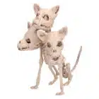 Decoratie Skelet Cerberus Decoratie Skelet Cerberus