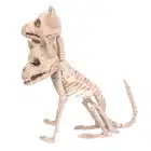 Decoratie Skelet Cerberus Decoratie Skelet Cerberus