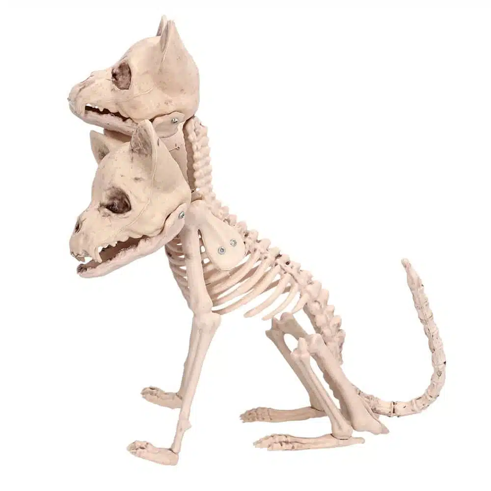 Decoratie Skelet Cerberus Decoratie Skelet Cerberus