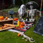 Plastic kelk Skull claw zwart Plastic kelk Skull claw zwart