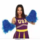 Pom-pom set blauw (2 stuks)