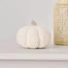 Kleine beige pompoen decoratie 12 cm x 14 cm