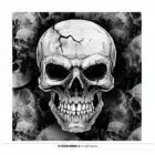 Servetten Doodshoofd Halloween 33 x 33 cm (12 stuks)