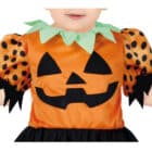 Pretty pumpkin baby borst