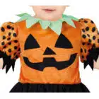 Pretty pumpkin baby borst